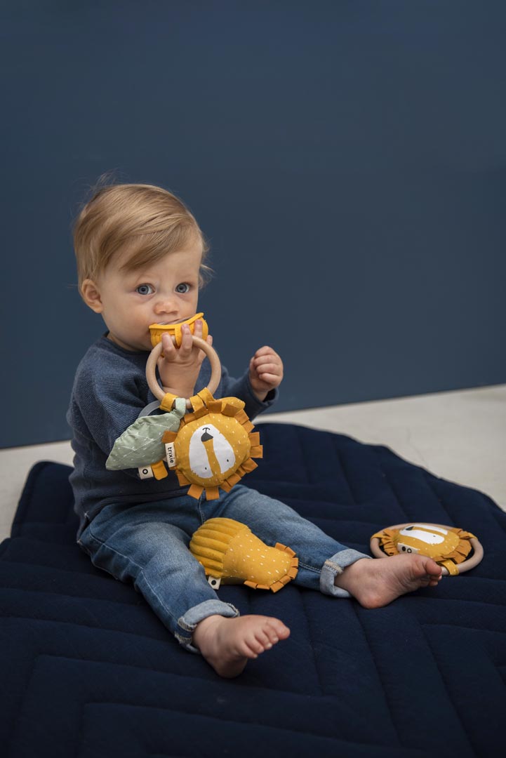 Activiteitenring - Mr. Lion